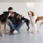 Benefits Of Socialization In Dog Training