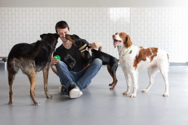 Benefits Of Socialization In Dog Training