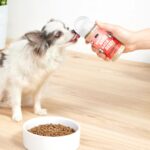 Best Dog Food For Picky Eaters