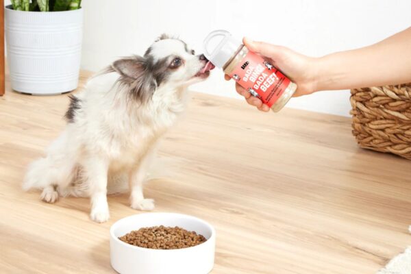 Best Dog Food For Picky Eaters