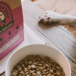 Best Grain-Free Dog Food Options for Sensitive Stomachs