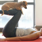 Keeping your dog active and fit is essential for their overall health and happiness. Regular exercise helps maintain a healthy weight, strengthens muscles, improves cardiovascular health, and enhances mental stimulation. Whether you have a playful puppy or a senior dog, there are plenty of ways to keep them engaged and active. Here are the best ways to ensure your dog stays fit and healthy. 1. Daily Walks for Physical and Mental Stimulation Walking is one of the easiest and most effective ways to keep your dog active. A daily walk: Helps maintain a healthy weight Strengthens muscles and joints Provides mental stimulation through new scents and sights Reduces behavioral issues like excessive barking or chewing Adjust the length and intensity of walks based on your dog’s age, breed, and energy level. High-energy breeds may need longer or multiple walks daily. 2. Playing Fetch for Exercise and Fun Fetch is a great way to engage your dog in physical activity while strengthening your bond. It helps improve their: Speed and agility Coordination Cardiovascular health Use a ball, frisbee, or their favorite toy. If you have a large backyard, this activity can be an excellent workout. 3. Agility Training for Physical and Mental Stimulation Agility training is perfect for energetic dogs who love a challenge. Setting up an obstacle course with tunnels, jumps, and weave poles helps improve: Balance and coordination Muscle strength Problem-solving skills You can create a DIY agility course in your backyard or join a local agility club for structured training. 4. Swimming for a Low-Impact Workout Swimming is a fantastic full-body workout for dogs, especially those with joint issues or arthritis. Benefits of swimming include: Gentle on joints and muscles Provides excellent cardiovascular exercise Cools them down on hot days Always ensure safety by supervising your dog and using a dog life vest if necessary. 5. Hiking for Adventure and Fitness If your dog loves the outdoors, hiking is a great way to keep them active. It provides: A change of scenery for mental stimulation A full-body workout Exposure to new scents and environments Choose pet-friendly trails and bring enough water for both you and your dog. 6. Tug-of-War to Build Strength Tug-of-war is a great indoor or outdoor activity that helps build muscle and teaches impulse control. Ensure you: Use a sturdy rope or tug toy Let your dog win occasionally to keep them engaged Set boundaries to prevent aggressive play This game is great for dogs of all sizes and energy levels. 7. Dog Sports for High-Energy Breeds Engaging in dog sports like flyball, dock diving, or herding trials can keep your dog fit while enhancing their natural instincts. These activities improve: Speed and endurance Coordination and teamwork Mental engagement Many training centers offer dog sports programs for different breeds and skill levels. 8. Interactive Toys for Mental and Physical Activity Keeping your dog engaged mentally is just as important as physical exercise. Interactive toys such as: Puzzle feeders Treat-dispensing balls Hide-and-seek games These help reduce boredom and promote problem-solving skills while keeping them active indoors. 9. Running or Biking with Your Dog For high-energy breeds, running or biking together can be a great workout. Use a: Hands-free leash for running Bike attachment for safe cycling Start slow and ensure your dog is comfortable with the pace. Always monitor for signs of exhaustion. 10. Doggy Playdates for Social and Physical Benefits Socialization is crucial for dogs, and playdates help them burn energy while interacting with other dogs. Benefits include: Improved social skills Mental stimulation A fun way to exercise Take your dog to a dog park or set up playdates with friends who have dogs of similar size and temperament. Conclusion Keeping your dog active and fit is essential for their long-term health and happiness. By incorporating regular walks, fun games, training exercises, and interactive activities, you can ensure they stay in great shape both physically and mentally. Tailor activities to your dog's age, breed, and energy level to create a routine that keeps them engaged and full of life.