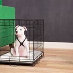 Crate Training 101: How to Make It a Positive Experience Crate Training 101 How to Make It a Positive Experience