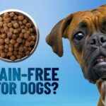 The Benefits of Grain-Free Dog Food: Is It Right for Your Dog?