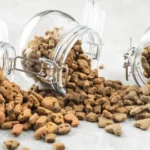 Dry vs. Wet Dog Food: Which One is Better?