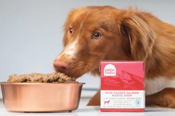 High-Protein Dog Food For Active Breeds