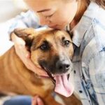 How to Boost Your Dog’s Immune System Naturally