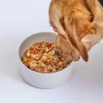 How to Choose the Right Dog Food for Your Dog’s Age and Size