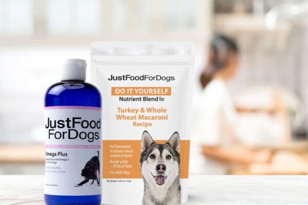 How to Use Supplements with Dog Food for Extra Nutrition