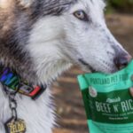 Limited-Ingredient Dog Food For Sensitive Stomachs
