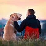 Most Loyal Dog Breeds: Which One Is Right for You? Most Loyal Dog Breeds Which One Is Right for You