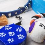 Must-Have Dog Accessories For New Pet Owners Must-Have Dog Accessories For New Pet Owners