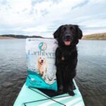 How to Manage a Dog’s Food Sensitivity or Allergy How to Manage a Dog’s Food Sensitivity or Allergy