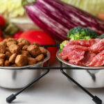 Raw vs. Kibble: Which Diet Is Best for Your Dog? Raw vs. Kibble: Which Diet Is Best for Your Dog?
