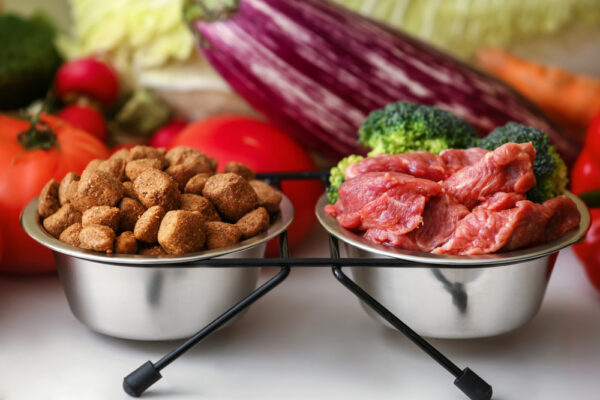 Raw vs. Kibble: Which Diet Is Best for Your Dog?