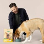 The Truth Behind Commercial Dog Food Brands The Truth Behind Commercial Dog Food Brands